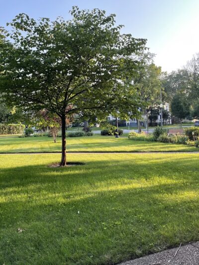 Kiwanis Park - La Grange, IL