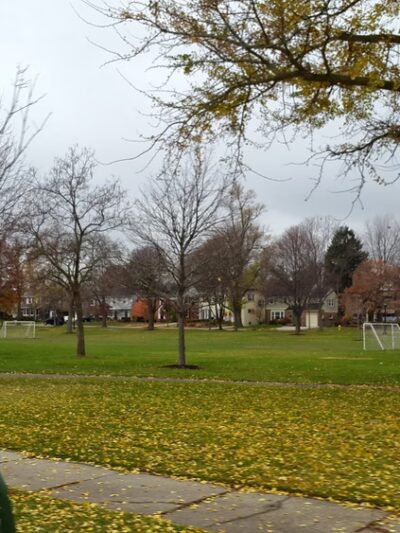 Waiola Park - La Grange, IL