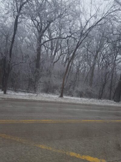 LaGrange Park Woods - La Grange Park, IL