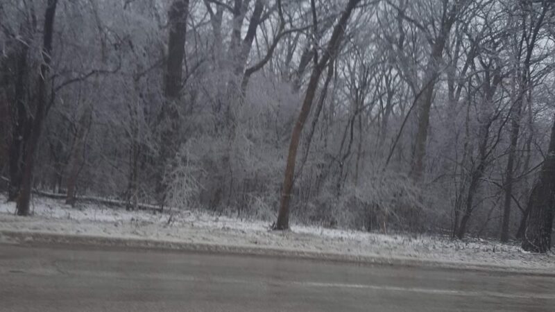 LaGrange Park Woods - La Grange Park, IL