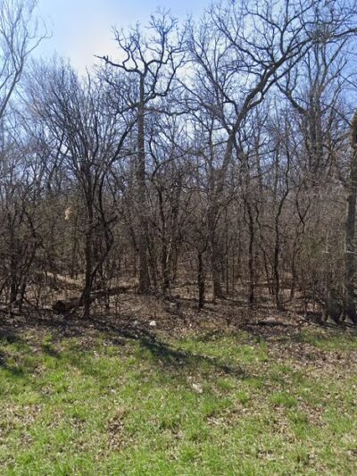 LaGrange Park Woods - La Grange Park, IL