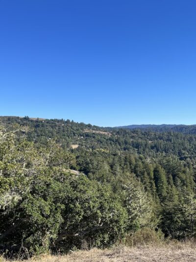 Grasshopper Loop Trail - La Honda, CA