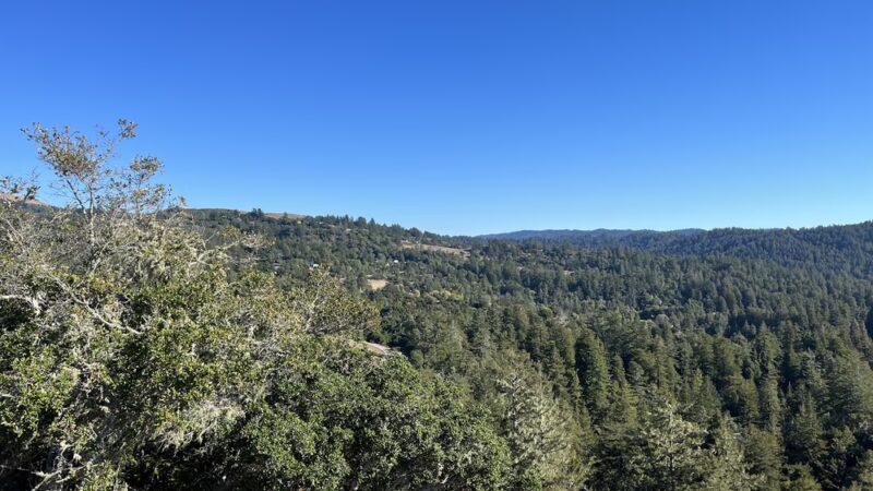 Grasshopper Loop Trail - La Honda, CA