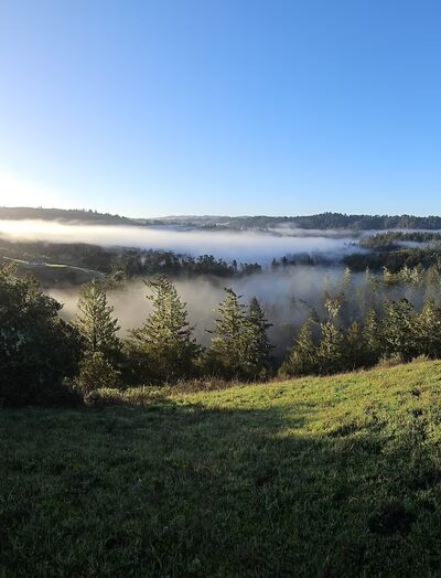 Grasshopper Loop Trail - La Honda, CA