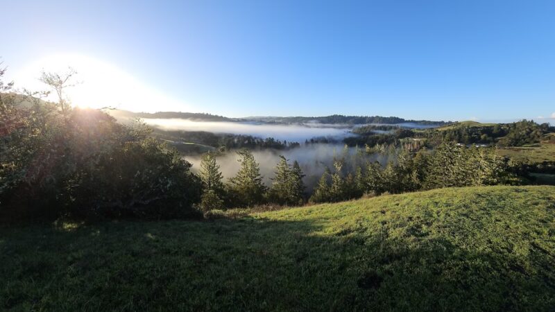 Grasshopper Loop Trail - La Honda, CA