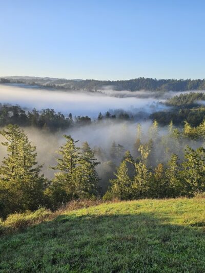 Grasshopper Loop Trail - La Honda, CA