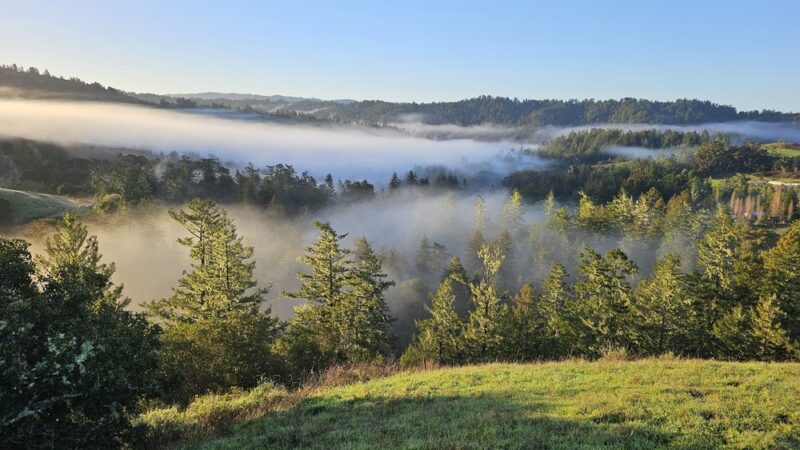 Grasshopper Loop Trail - La Honda, CA