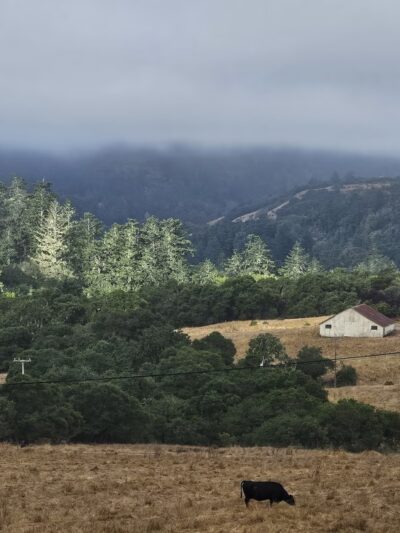 Grasshopper Loop Trail - La Honda, CA