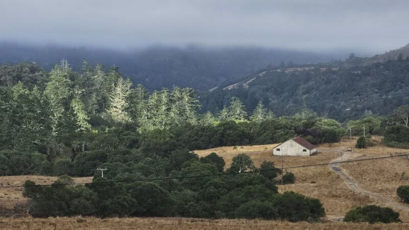Grasshopper Loop Trail - La Honda, CA
