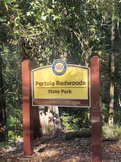Portola Redwoods State Park - La Honda, CA
