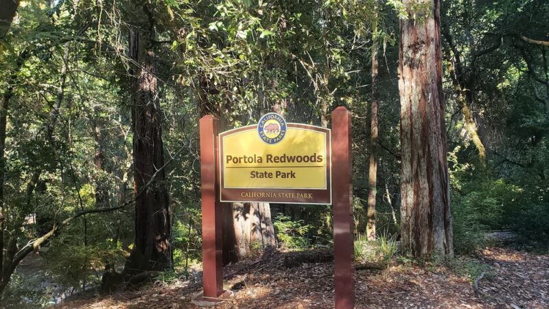 Portola Redwoods State Park - La Honda, CA