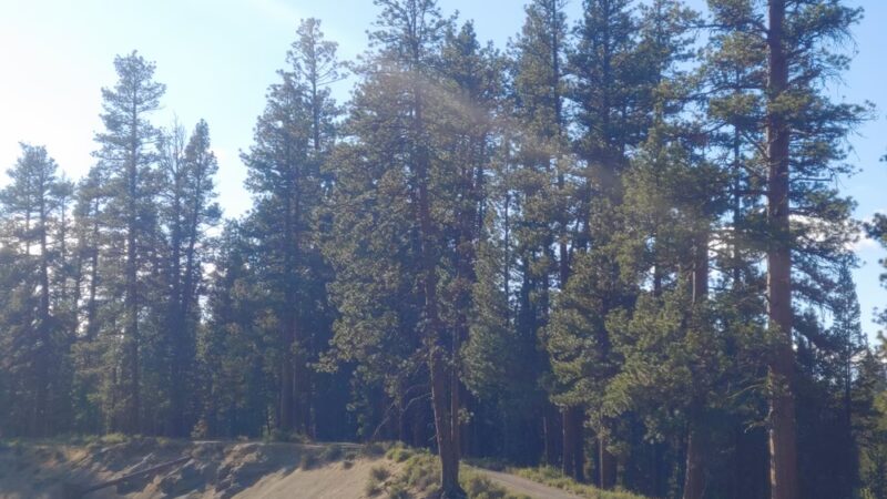 Bull Bend Campground - La Pine, OR