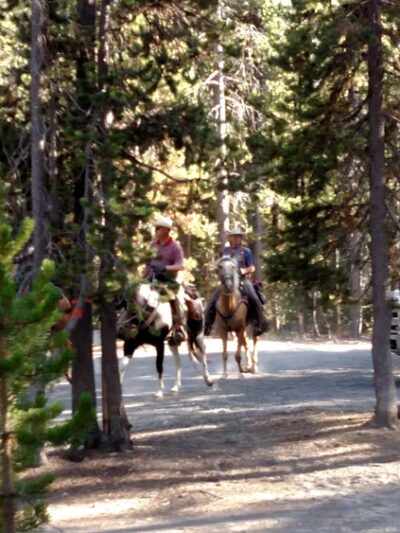 Chief Paulina Trailhead - La Pine, OR