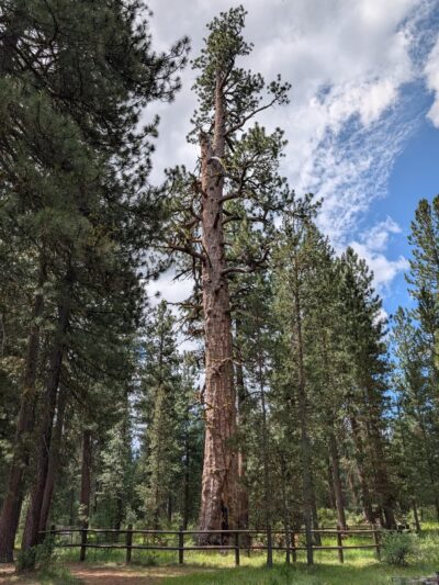 LaPine State Park - La Pine, OR