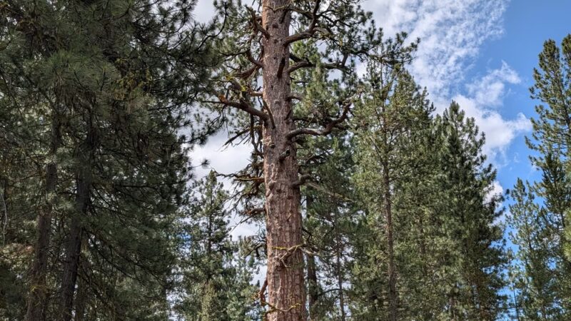LaPine State Park - La Pine, OR