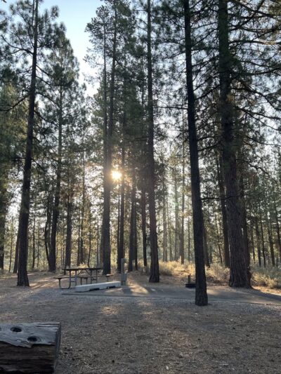 LaPine State Park Campground - La Pine, OR