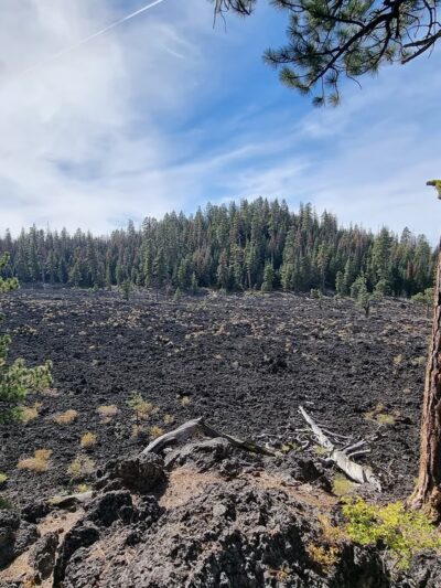 Lava Cast Forest Trail - La Pine, OR