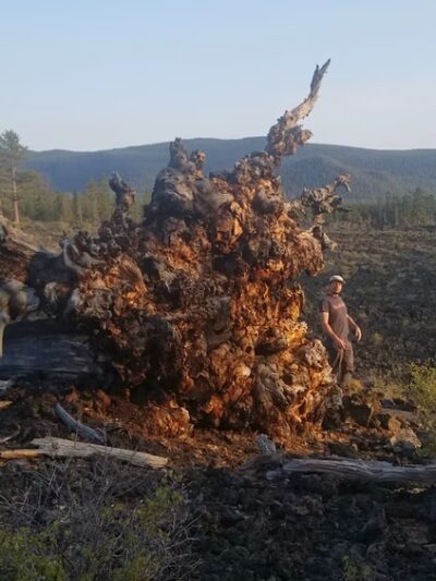 Lava Cast Forest Trail - La Pine, OR