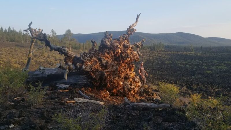 Lava Cast Forest Trail - La Pine, OR