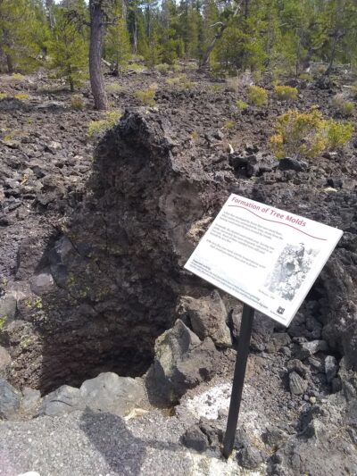 Lava Cast Forest Trail - La Pine, OR