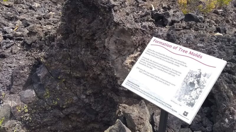 Lava Cast Forest Trail - La Pine, OR