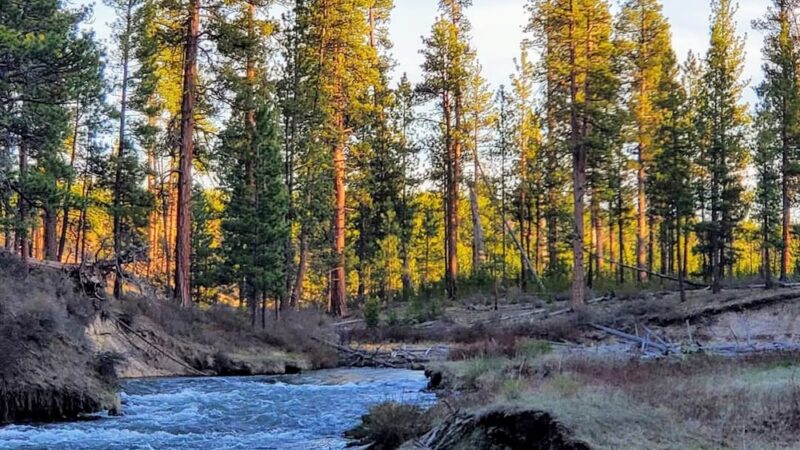 Leona Park - La Pine, OR