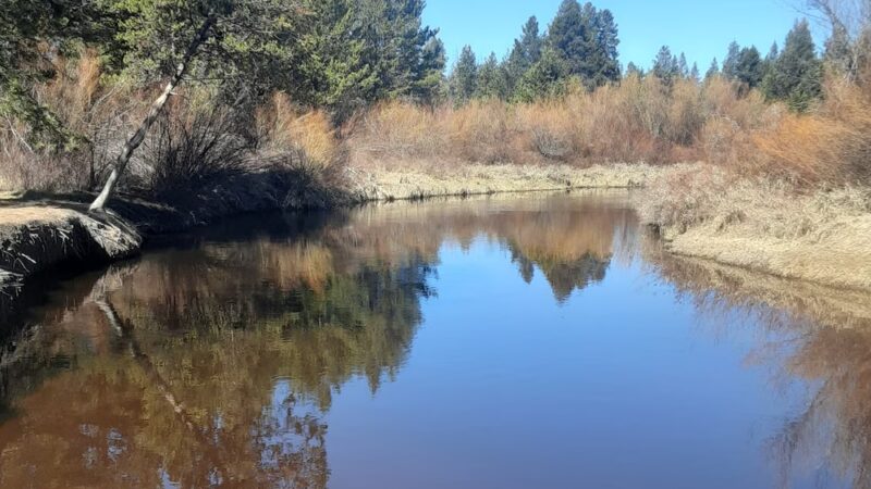Leona Park - La Pine, OR