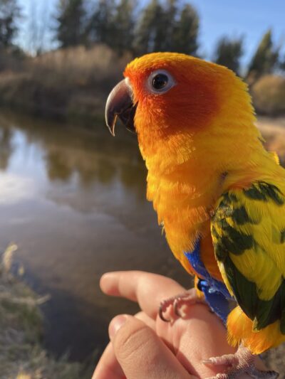 Leona Park - La Pine, OR