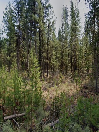 North Twin Lake Campground - La Pine, OR