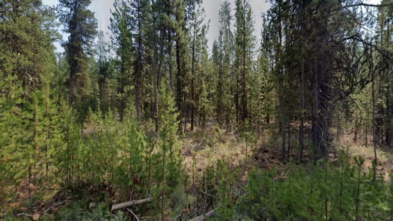 North Twin Lake Campground - La Pine, OR