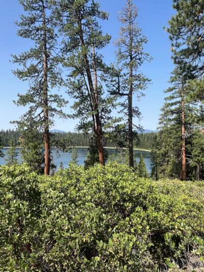North Twin Lake Campground - La Pine, OR
