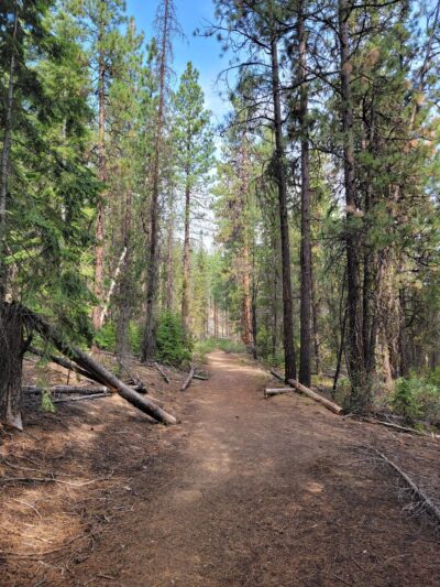 North Twin Lake Campground - La Pine, OR