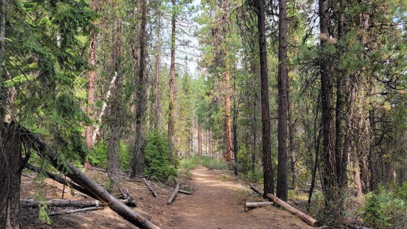 North Twin Lake Campground - La Pine, OR