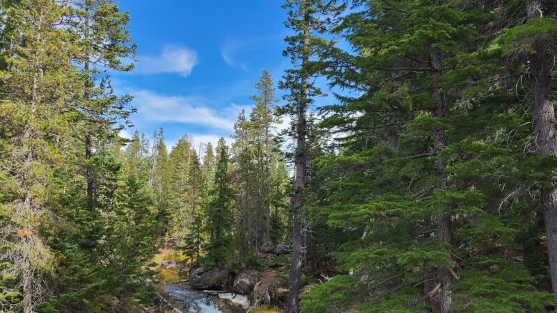 Paulina Falls Day Use Area - La Pine, OR