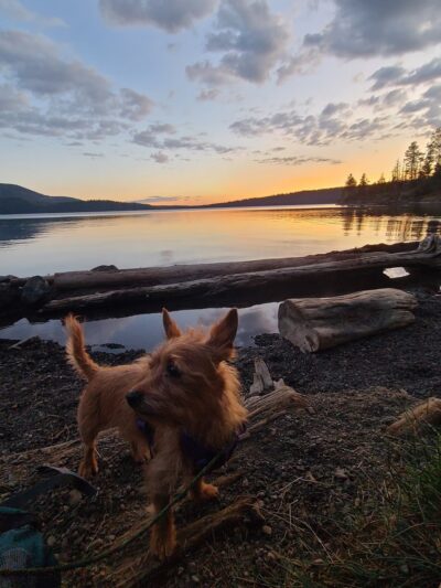 Paulina Lake Hot Springs Trailhead - La Pine, OR