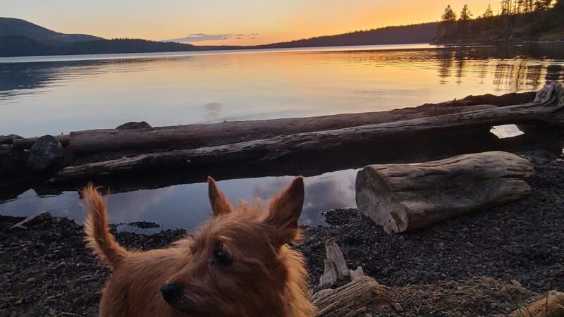 Paulina Lake Hot Springs Trailhead - La Pine, OR