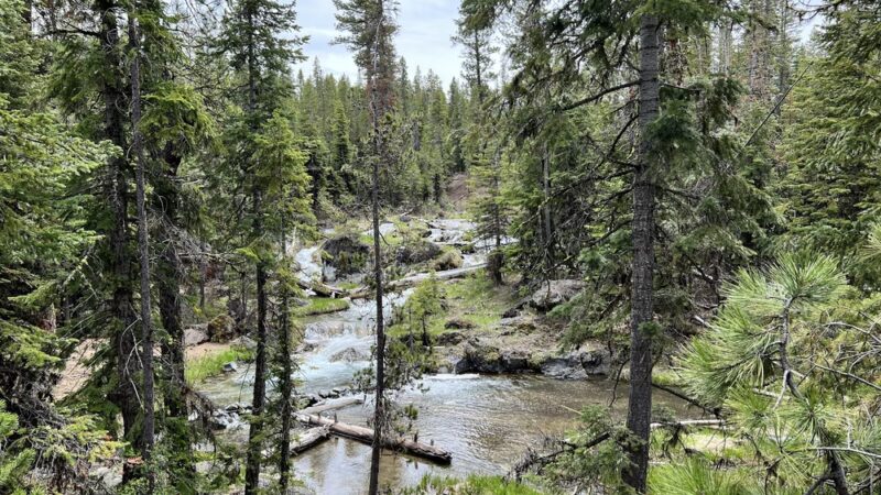 Peter Skene Ogden Trailhead - La Pine, OR