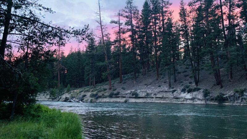 Pringle Falls Campground - La Pine, OR