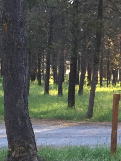 Rosland Campground - La Pine, OR