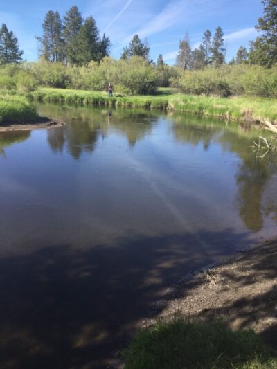 Rosland Campground - La Pine, OR