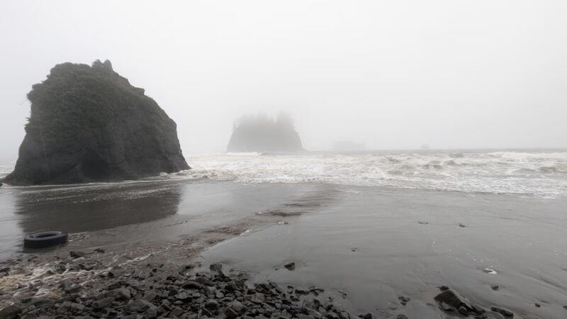 Second Beach Trail Parking - La Push, WA