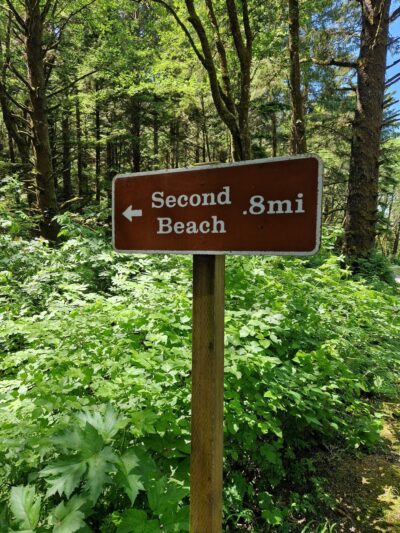 Second Beach Trail Parking - La Push, WA