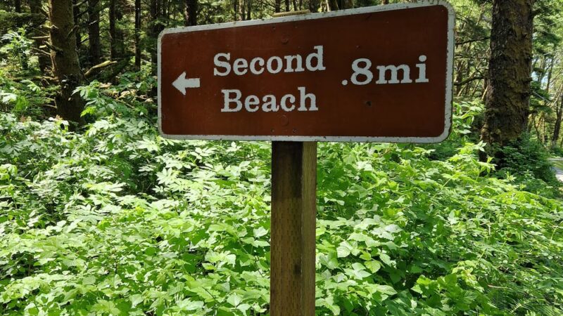 Second Beach Trail Parking - La Push, WA