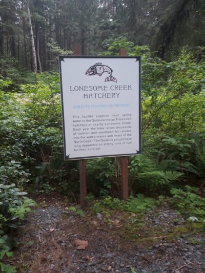 Second Beach Trail Parking - La Push, WA