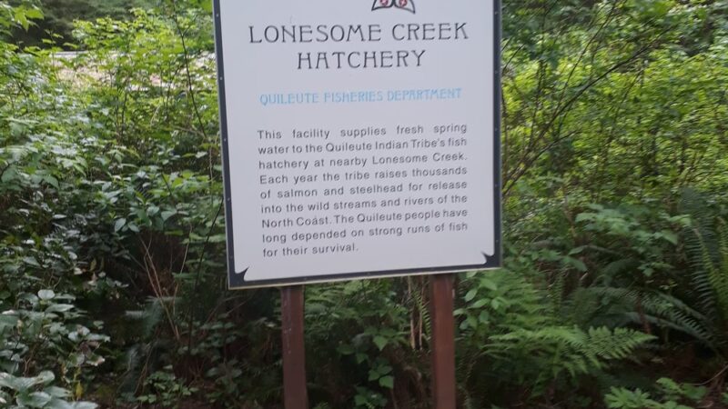 Second Beach Trail Parking - La Push, WA