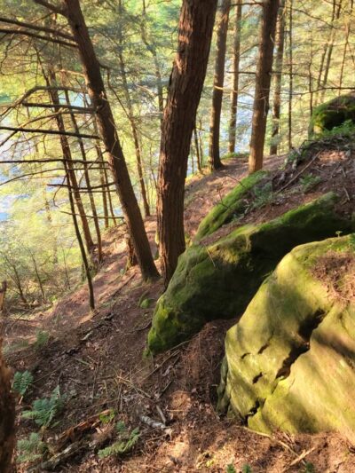 Hemlock County Park - La Valle, WI