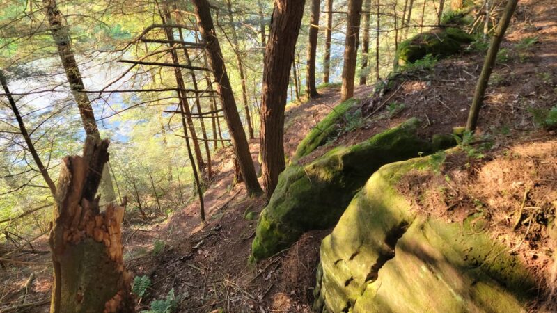 Hemlock County Park - La Valle, WI