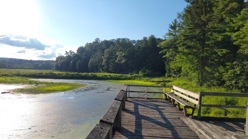 Hemlock County Park - La Valle, WI
