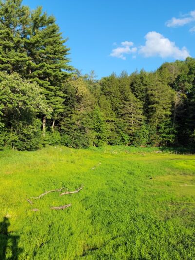Hemlock County Park - La Valle, WI