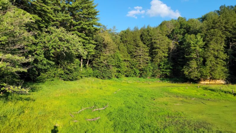 Hemlock County Park - La Valle, WI